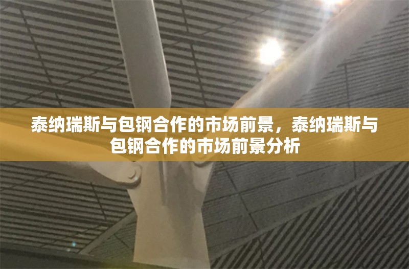 泰納瑞斯與包鋼合作的市場前景，泰納瑞斯與包鋼合作的市場前景分析