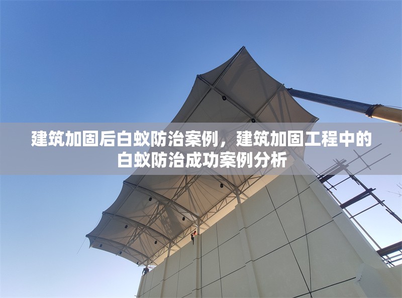 建筑加固后白蟻防治案例，建筑加固工程中的白蟻防治成功案例分析