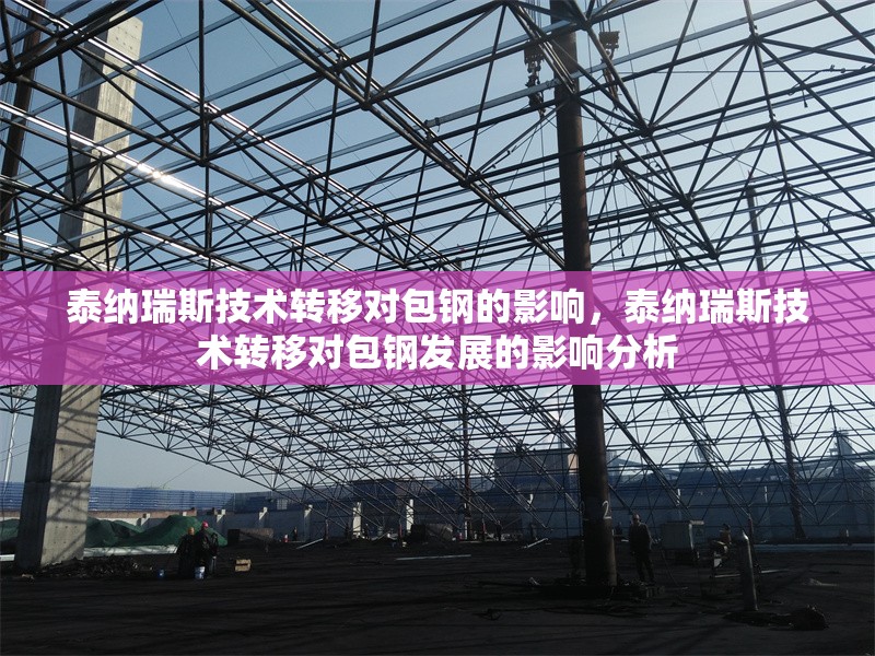 泰納瑞斯技術(shù)轉(zhuǎn)移對(duì)包鋼的影響，泰納瑞斯技術(shù)轉(zhuǎn)移對(duì)包鋼發(fā)展的影響分析