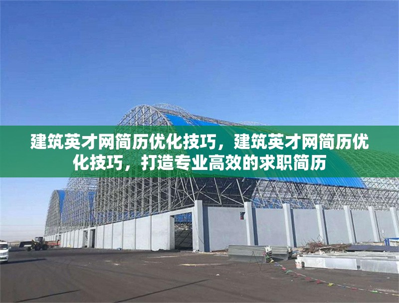 建筑英才網(wǎng)簡歷優(yōu)化技巧，建筑英才網(wǎng)簡歷優(yōu)化技巧，打造專業(yè)高效的求職簡歷