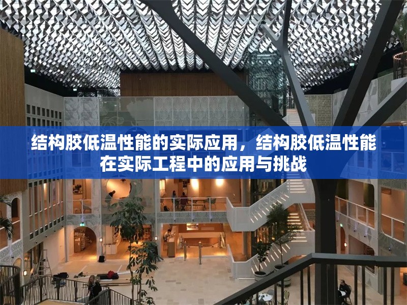 結構膠低溫性能的實際應用，結構膠低溫性能在實際工程中的應用與挑戰(zhàn) 行業(yè)新聞