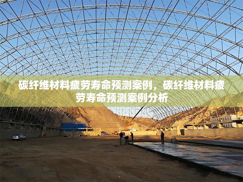 碳纖維材料疲勞壽命預(yù)測(cè)案例，碳纖維材料疲勞壽命預(yù)測(cè)案例分析