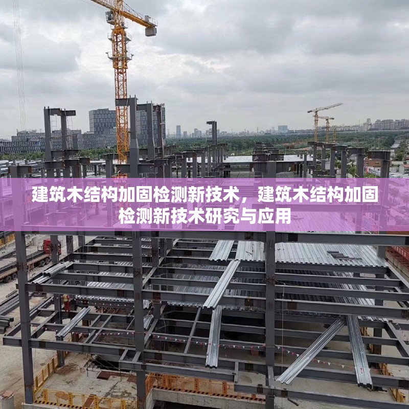 建筑木結(jié)構(gòu)加固檢測新技術(shù)，建筑木結(jié)構(gòu)加固檢測新技術(shù)研究與應(yīng)用 行業(yè)新聞 第1張