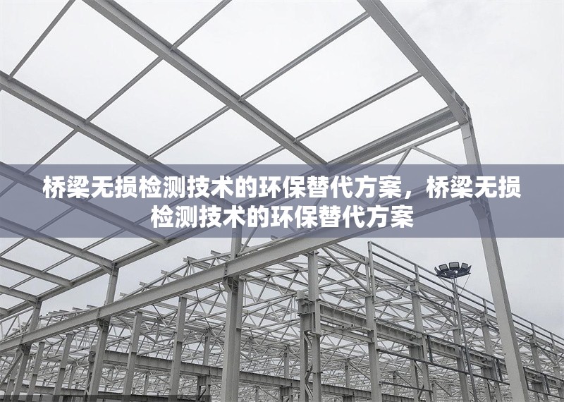 橋梁無(wú)損檢測(cè)技術(shù)的環(huán)保替代方案，橋梁無(wú)損檢測(cè)技術(shù)的環(huán)保替代方案