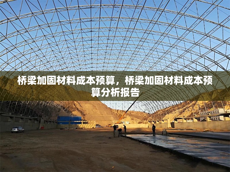 橋梁加固材料成本預(yù)算，橋梁加固材料成本預(yù)算分析報告