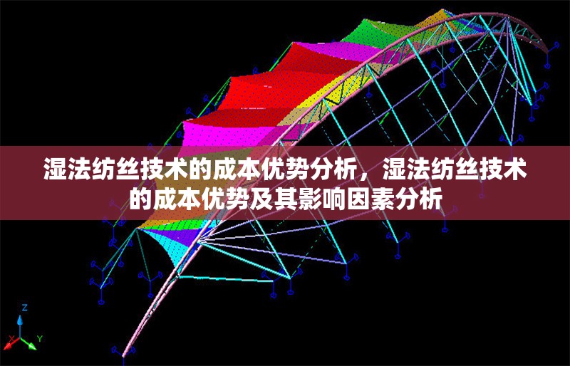 濕法紡絲技術(shù)的成本優(yōu)勢分析，濕法紡絲技術(shù)的成本優(yōu)勢及其影響因素分析