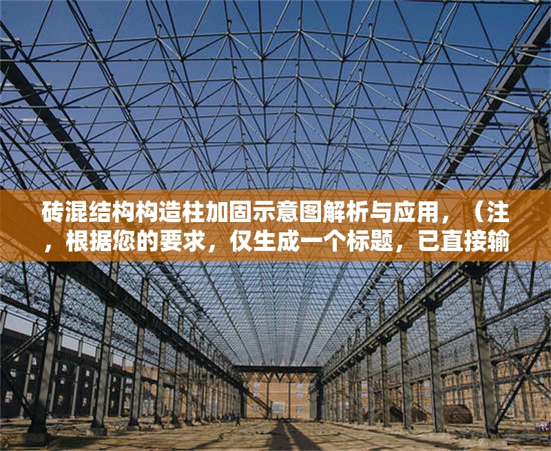 磚混結(jié)構(gòu)構(gòu)造柱加固示意圖解析與應(yīng)用，（注，根據(jù)您的要求，僅生成一個(gè)標(biāo)題，已直接輸出在最上方）