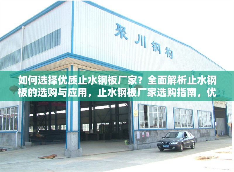 如何選擇優(yōu)質止水鋼板廠家？全面解析止水鋼板的選購與應用，止水鋼板廠家選購指南，優(yōu)質產品挑選與使用全解析
