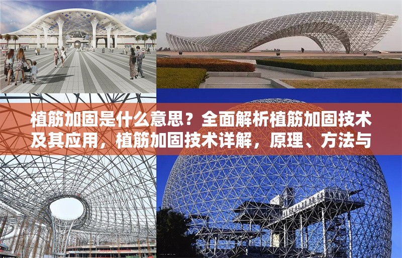 植筋加固是什么意思？全面解析植筋加固技術(shù)及其應(yīng)用，植筋加固技術(shù)詳解，原理、方法與應(yīng)用場(chǎng)景全解析