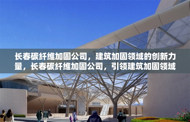 長(zhǎng)春碳纖維加固公司，建筑加固領(lǐng)域的創(chuàng)新力量，長(zhǎng)春碳纖維加固公司，引領(lǐng)建筑加固領(lǐng)域的創(chuàng)新先鋒