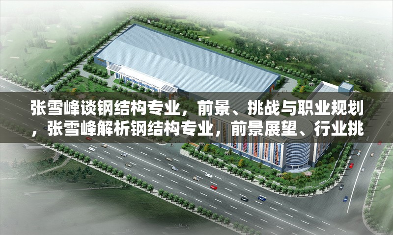 張雪峰談鋼結(jié)構(gòu)專(zhuān)業(yè)，前景、挑戰(zhàn)與職業(yè)規(guī)劃，張雪峰解析鋼結(jié)構(gòu)專(zhuān)業(yè)，前景展望、行業(yè)挑戰(zhàn)與職業(yè)發(fā)展路徑