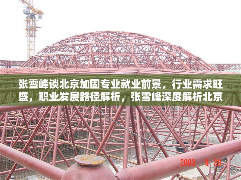 張雪峰談北京加固專(zhuān)業(yè)就業(yè)前景，行業(yè)需求旺盛，職業(yè)發(fā)展路徑解析，張雪峰深度解析北京加固專(zhuān)業(yè)就業(yè)前景，行業(yè)需求旺盛與職業(yè)發(fā)展路徑