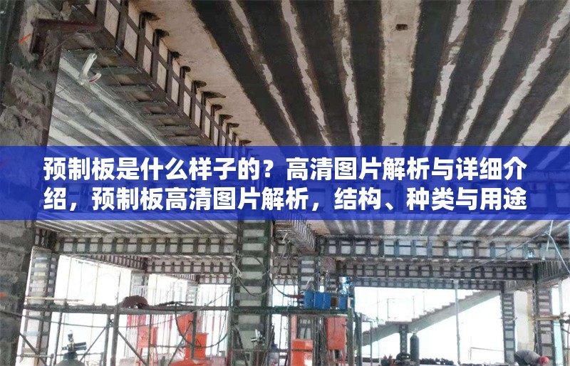 預(yù)制板是什么樣子的？高清圖片解析與詳細(xì)介紹，預(yù)制板高清圖片解析，結(jié)構(gòu)、種類與用途全覽