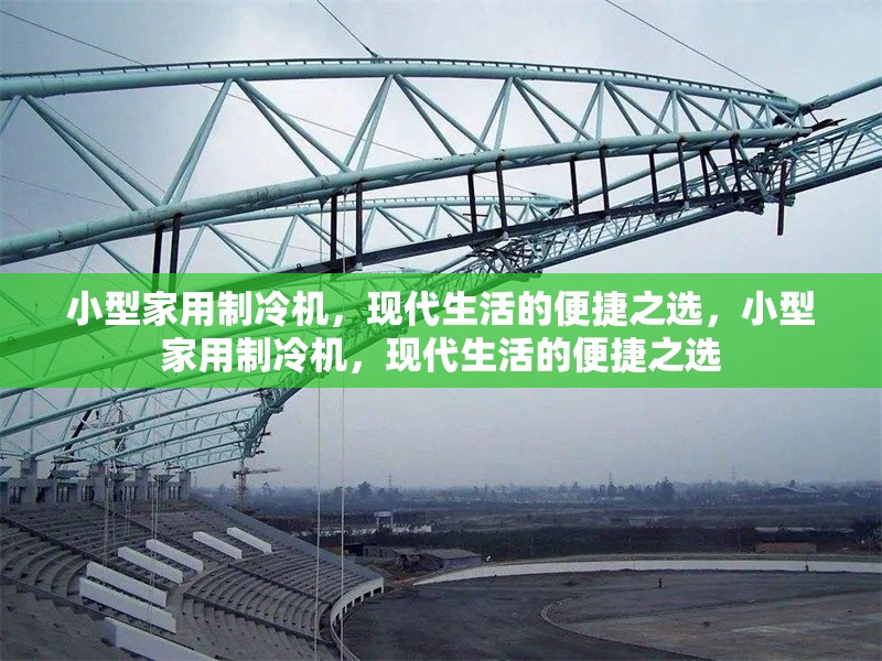 小型家用制冷機，現(xiàn)代生活的便捷之選，小型家用制冷機，現(xiàn)代生活的便捷之選