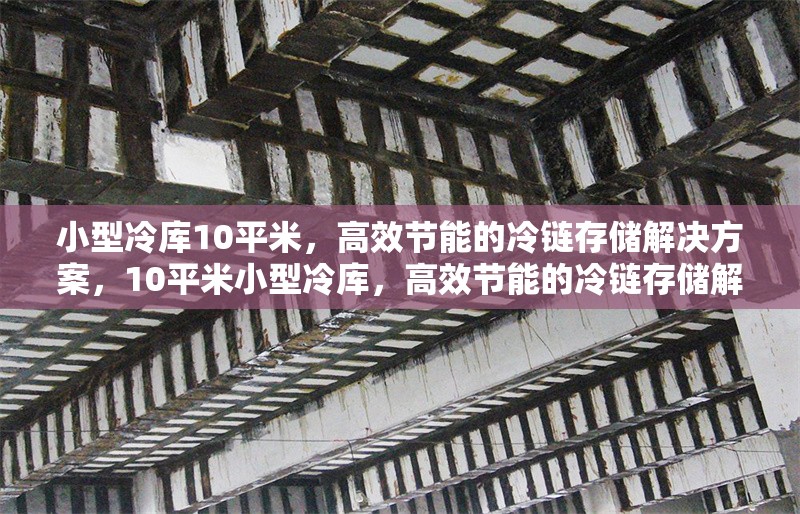 小型冷庫10平米，高效節(jié)能的冷鏈存儲解決方案，10平米小型冷庫，高效節(jié)能的冷鏈存儲解決方案 行業(yè)新聞