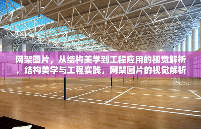 網(wǎng)架圖片，從結(jié)構(gòu)美學(xué)到工程應(yīng)用的視覺解析，結(jié)構(gòu)美學(xué)與工程實(shí)踐，網(wǎng)架圖片的視覺解析與應(yīng)用探索