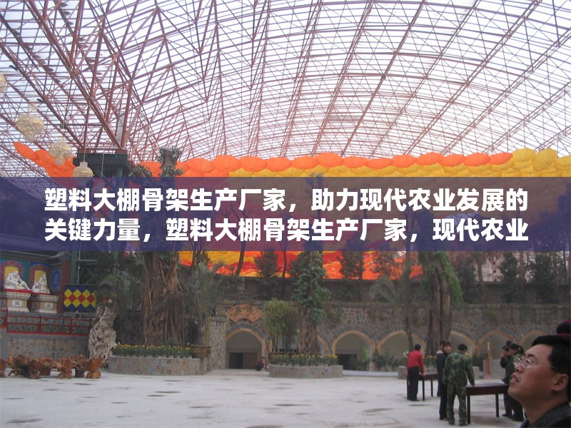塑料大棚骨架生產廠家，助力現(xiàn)代農業(yè)發(fā)展的關鍵力量，塑料大棚骨架生產廠家，現(xiàn)代農業(yè)發(fā)展的核心支撐