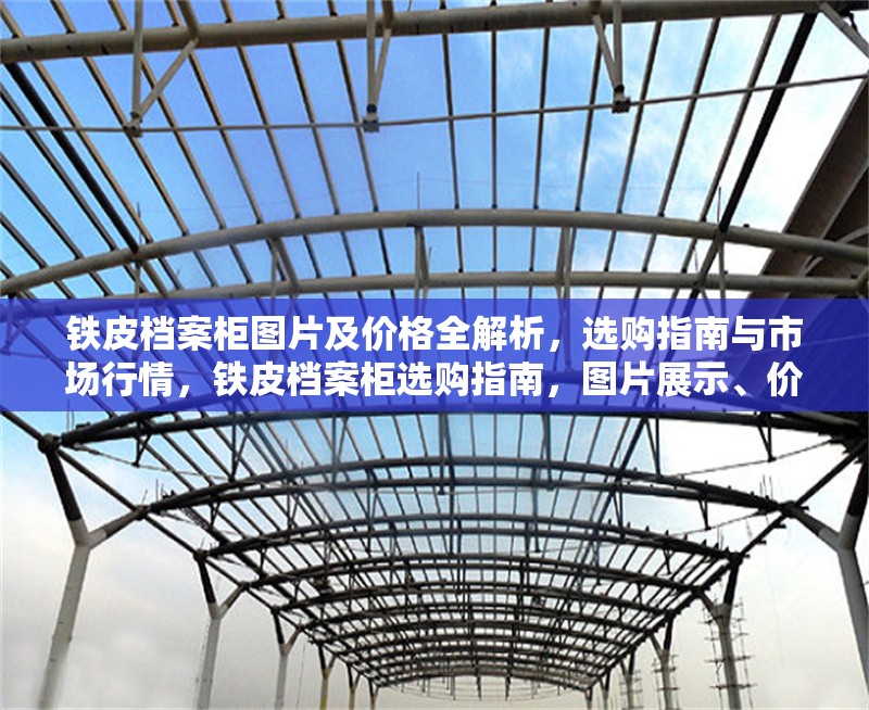 鐵皮檔案柜圖片及價格全解析，選購指南與市場行情，鐵皮檔案柜選購指南，圖片展示、價格解析與市場行情