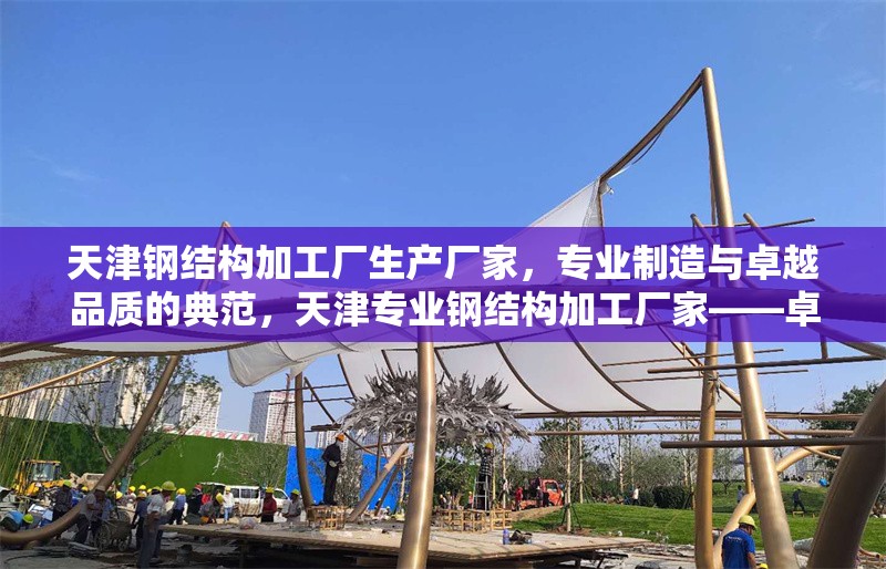 天津鋼結(jié)構(gòu)加工廠生產(chǎn)廠家，專業(yè)制造與卓越品質(zhì)的典范，天津?qū)I(yè)鋼結(jié)構(gòu)加工廠家——卓越品質(zhì)與精湛制造的行業(yè)典范
