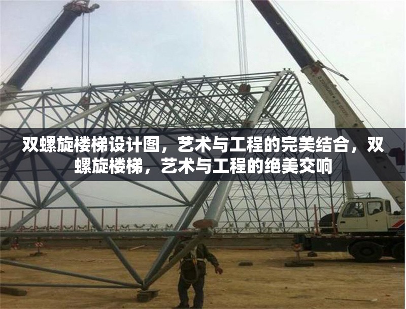 雙螺旋樓梯設(shè)計圖，藝術(shù)與工程的完美結(jié)合，雙螺旋樓梯，藝術(shù)與工程的絕美交響
