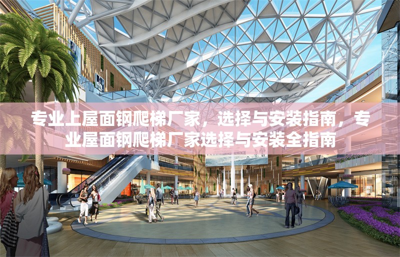 專業(yè)上屋面鋼爬梯廠家，選擇與安裝指南，專業(yè)屋面鋼爬梯廠家選擇與安裝全指南