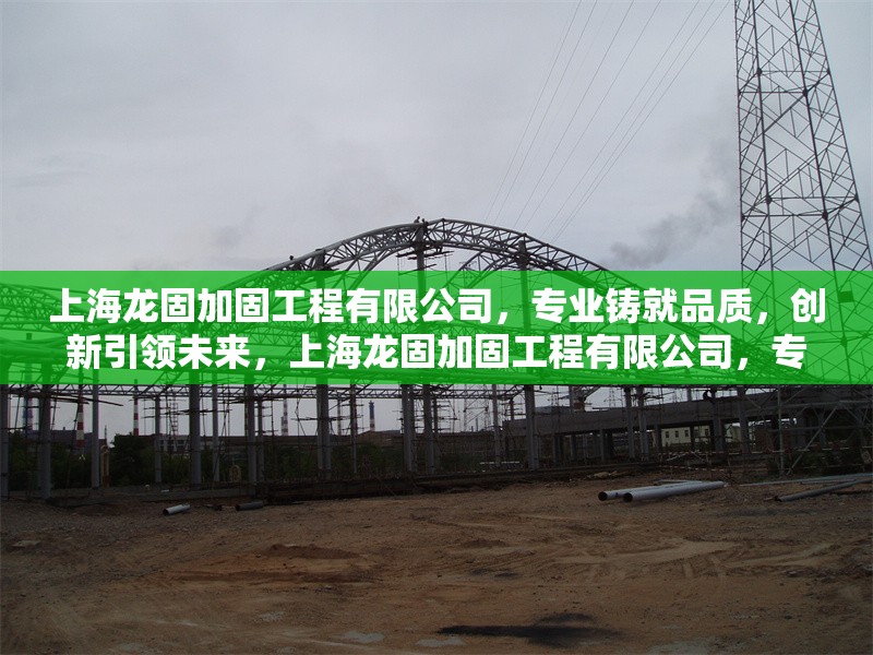 上海龍固加固工程有限公司，專業(yè)鑄就品質(zhì)，創(chuàng)新引領(lǐng)未來，上海龍固加固工程有限公司，專業(yè)鑄就品質(zhì)，創(chuàng)新引領(lǐng)未來 行業(yè)新聞