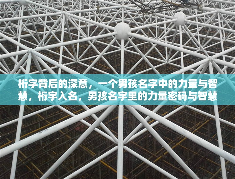 桁字背后的深意，一個(gè)男孩名字中的力量與智慧，桁字入名，男孩名字里的力量密碼與智慧圖騰
