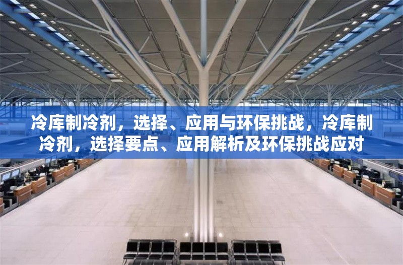 冷庫制冷劑，選擇、應(yīng)用與環(huán)保挑戰(zhàn)，冷庫制冷劑，選擇要點(diǎn)、應(yīng)用解析及環(huán)保挑戰(zhàn)應(yīng)對
