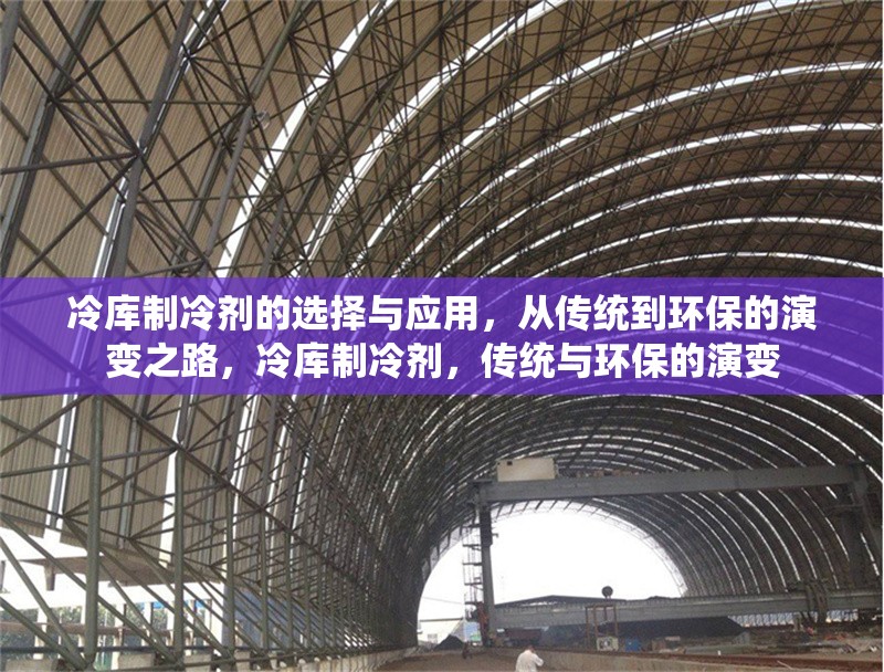 冷庫制冷劑的選擇與應(yīng)用，從傳統(tǒng)到環(huán)保的演變之路，冷庫制冷劑，傳統(tǒng)與環(huán)保的演變