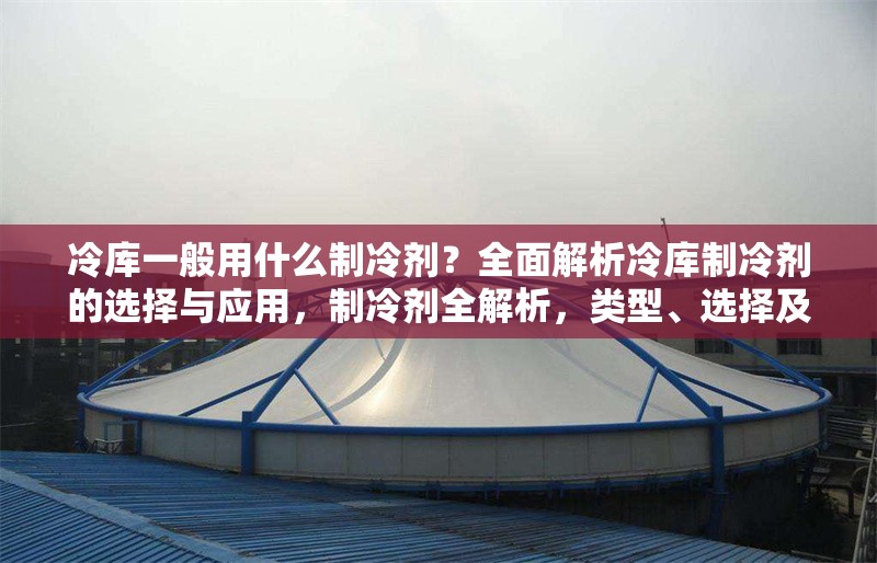 冷庫一般用什么制冷劑？全面解析冷庫制冷劑的選擇與應(yīng)用，制冷劑全解析，類型、選擇及
