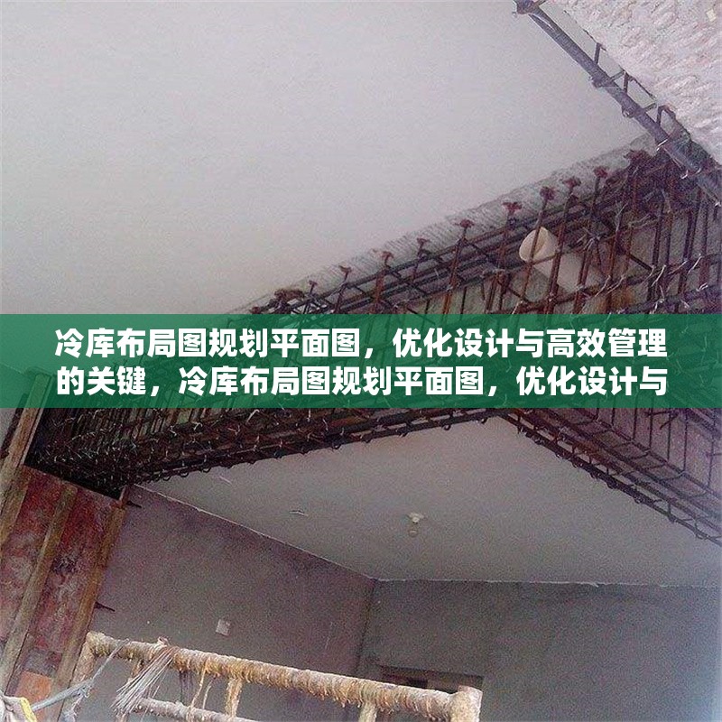 冷庫布局圖規(guī)劃平面圖，優(yōu)化設(shè)計(jì)與高效管理的關(guān)鍵，冷庫布局圖規(guī)劃平面圖，優(yōu)化設(shè)計(jì)與高效管理要點(diǎn)解析