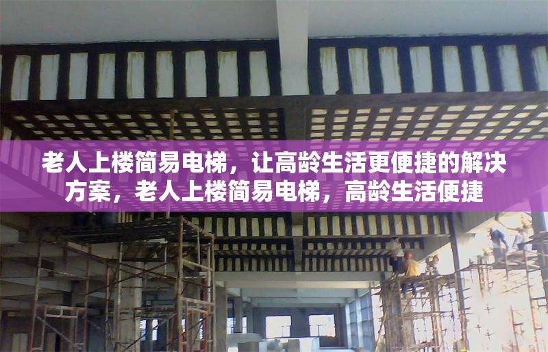 老人上樓簡易電梯，讓高齡生活更便捷的解決方案，老人上樓簡易電梯，高齡生活便捷 行業(yè)新聞