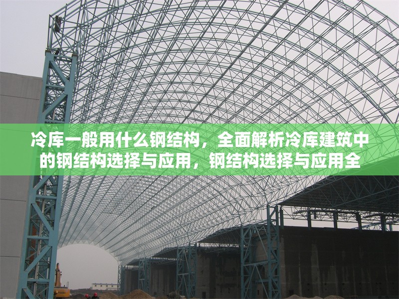 冷庫一般用什么鋼結(jié)構(gòu)，全面解析冷庫建筑中的鋼結(jié)構(gòu)選擇與應(yīng)用，鋼結(jié)構(gòu)選擇與應(yīng)用全