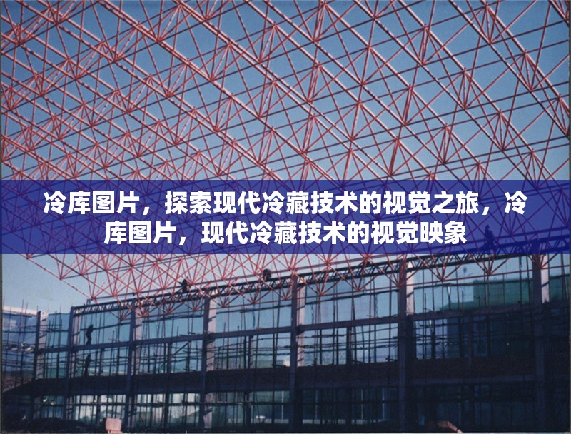 冷庫圖片，探索現(xiàn)代冷藏技術(shù)的視覺之旅，冷庫圖片，現(xiàn)代冷藏技術(shù)的視覺映象