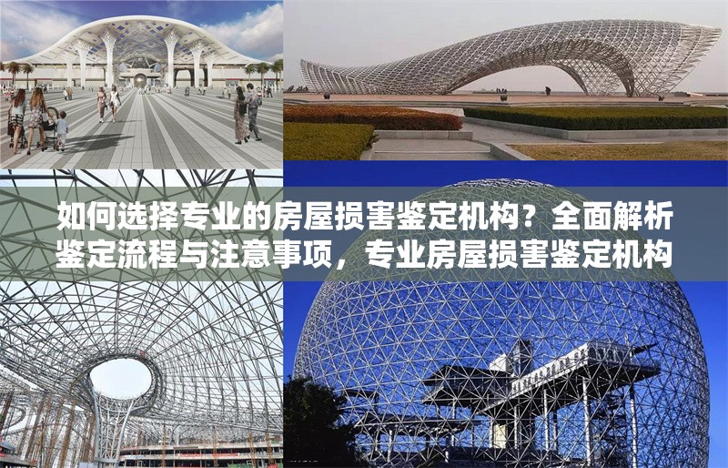 如何選擇專(zhuān)業(yè)的房屋損害鑒定機(jī)構(gòu)？全面解析鑒定流程與注意事項(xiàng)，專(zhuān)業(yè)房屋損害鑒定機(jī)構(gòu)選擇指南，流程與注意事項(xiàng)全解析 行業(yè)新聞