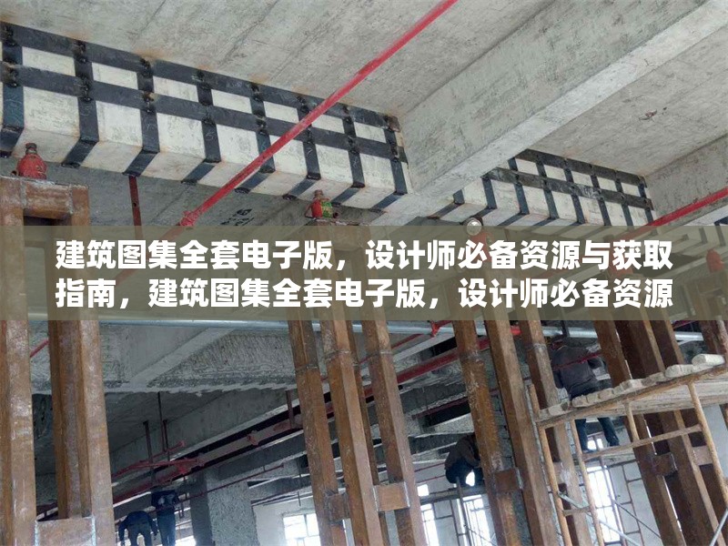 建筑圖集全套電子版，設(shè)計(jì)師必備資源與獲取指南，建筑圖集全套電子版，設(shè)計(jì)師必備資源及獲取全攻略