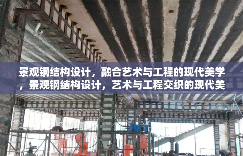 景觀鋼結(jié)構(gòu)設(shè)計，融合藝術(shù)與工程的現(xiàn)代美學(xué)，景觀鋼結(jié)構(gòu)設(shè)計，藝術(shù)與工程交織的現(xiàn)代美學(xué)華章