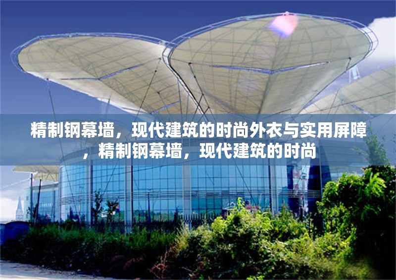 精制鋼幕墻，現(xiàn)代建筑的時尚外衣與實用屏障，精制鋼幕墻，現(xiàn)代建筑的時尚 行業(yè)新聞