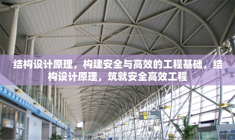 結(jié)構(gòu)設(shè)計原理，構(gòu)建安全與高效的工程基礎(chǔ)，結(jié)構(gòu)設(shè)計原理，筑就安全高效工程