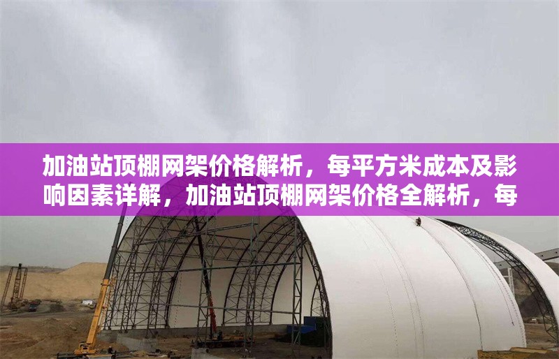 加油站頂棚網(wǎng)架價(jià)格解析，每平方米成本及影響因素詳解，加油站頂棚網(wǎng)架價(jià)格全解析，每平成本與影響因素 行業(yè)新聞