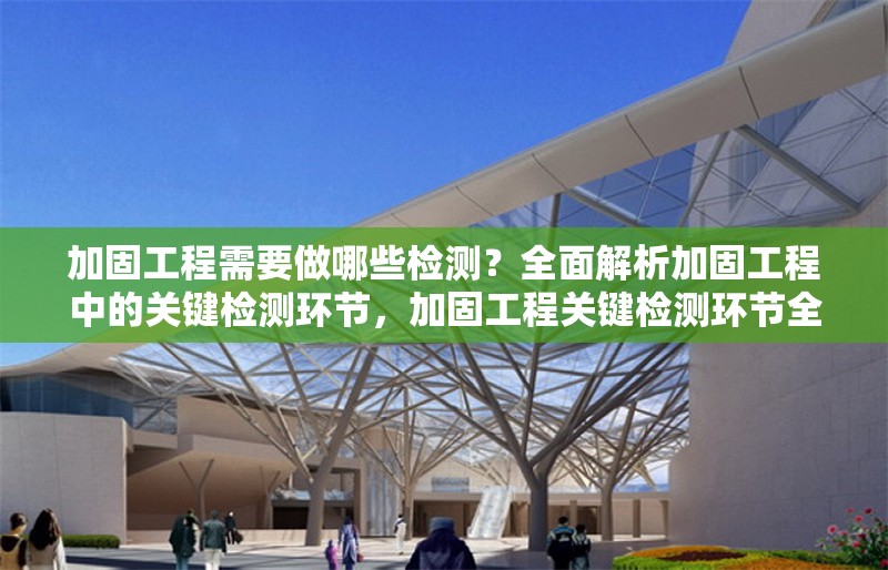 加固工程需要做哪些檢測(cè)？全面解析加固工程中的關(guān)鍵檢測(cè)環(huán)節(jié)，加固工程關(guān)鍵檢測(cè)環(huán)節(jié)全解析，必做項(xiàng)目及要點(diǎn)詳解 行業(yè)新聞