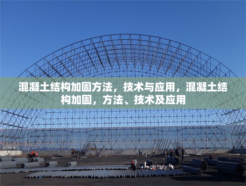 混凝土結(jié)構(gòu)加固方法，技術(shù)與應(yīng)用，混凝土結(jié)構(gòu)加固，方法、技術(shù)及應(yīng)用