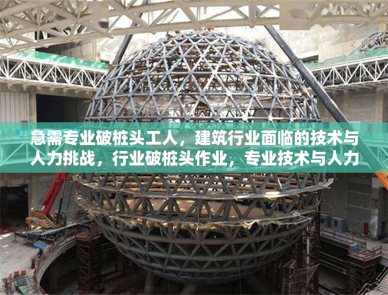 急需專業(yè)破樁頭工人，建筑行業(yè)面臨的技術與人力挑戰(zhàn)，行業(yè)破樁頭作業(yè)，專業(yè)技術與人力雙重挑戰(zhàn)下的工人需求