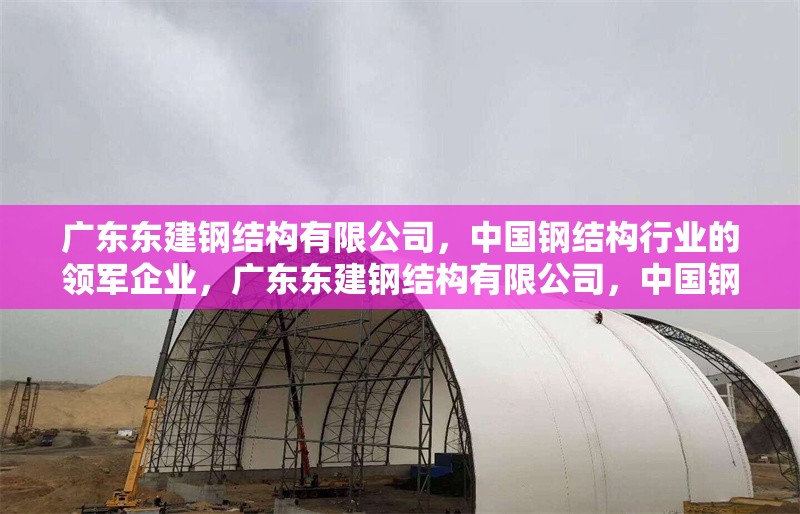 廣東東建鋼結(jié)構(gòu)有限公司，中國鋼結(jié)構(gòu)行業(yè)的領(lǐng)軍企業(yè)，廣東東建鋼結(jié)構(gòu)有限公司，中國鋼結(jié)構(gòu)行業(yè)