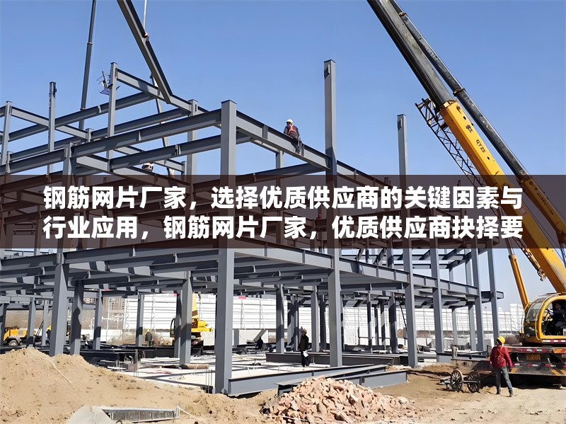 鋼筋網(wǎng)片廠家，選擇優(yōu)質(zhì)供應(yīng)商的關(guān)鍵因素與行業(yè)應(yīng)用，鋼筋網(wǎng)片廠家，優(yōu)質(zhì)供應(yīng)商抉擇要點(diǎn)及行業(yè)應(yīng)用全解析