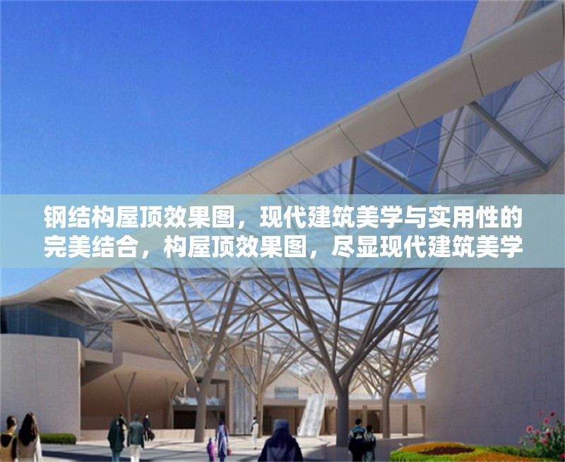 鋼結(jié)構(gòu)屋頂效果圖，現(xiàn)代建筑美學與實用性的完美結(jié)合，構(gòu)屋頂效果圖，盡顯現(xiàn)代建筑美學與實用
