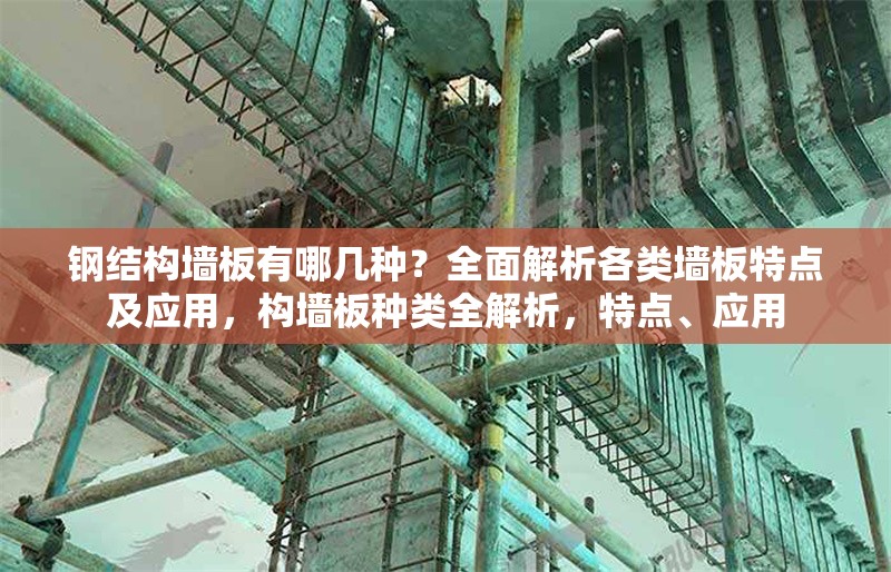 鋼結(jié)構(gòu)墻板有哪幾種？全面解析各類墻板特點(diǎn)及應(yīng)用，構(gòu)墻板種類全解析，特點(diǎn)、應(yīng)用