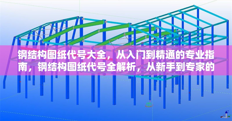 鋼結(jié)構(gòu)圖紙代號大全，從入門到精通的專業(yè)指南，鋼結(jié)構(gòu)圖紙代號全解析，從新手到專家的必備指南