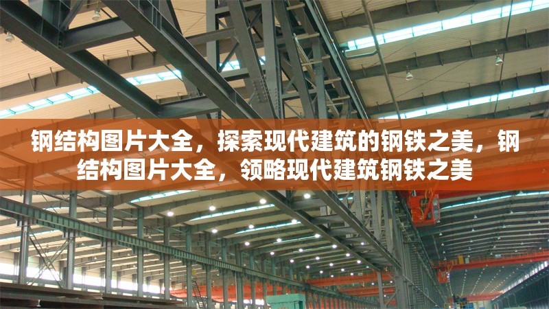 鋼結(jié)構(gòu)圖片大全，探索現(xiàn)代建筑的鋼鐵之美，鋼結(jié)構(gòu)圖片大全，領(lǐng)略現(xiàn)代建筑鋼鐵之美 行業(yè)新聞