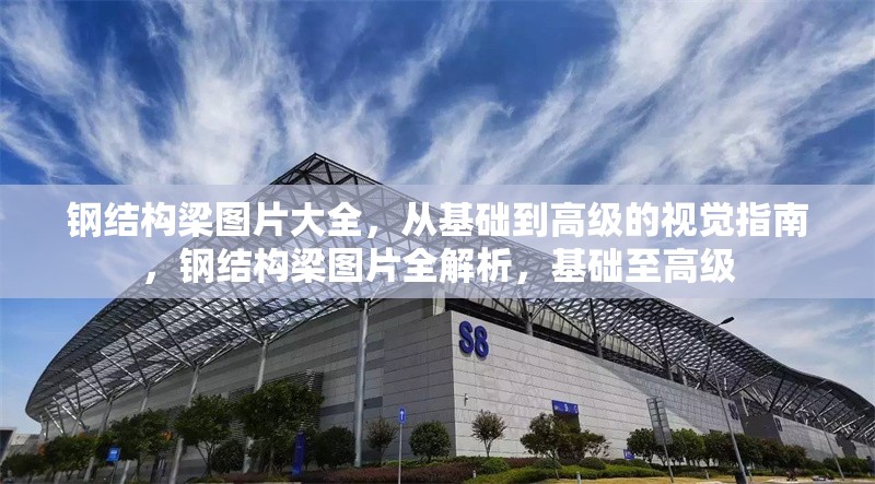 鋼結(jié)構(gòu)梁圖片大全，從基礎(chǔ)到高級的視覺指南，鋼結(jié)構(gòu)梁圖片全解析，基礎(chǔ)至高級 行業(yè)新聞